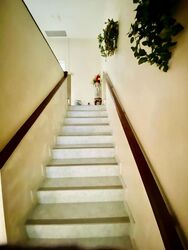 Mount Sinai (D10), Terrace #498815131